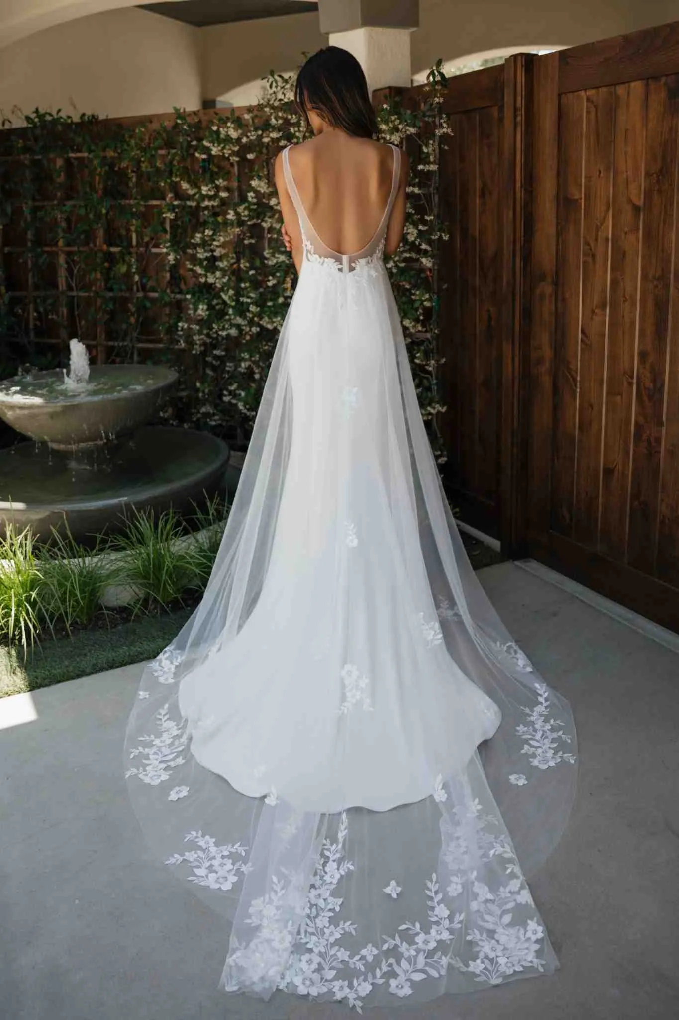 Ivy – Image 4
