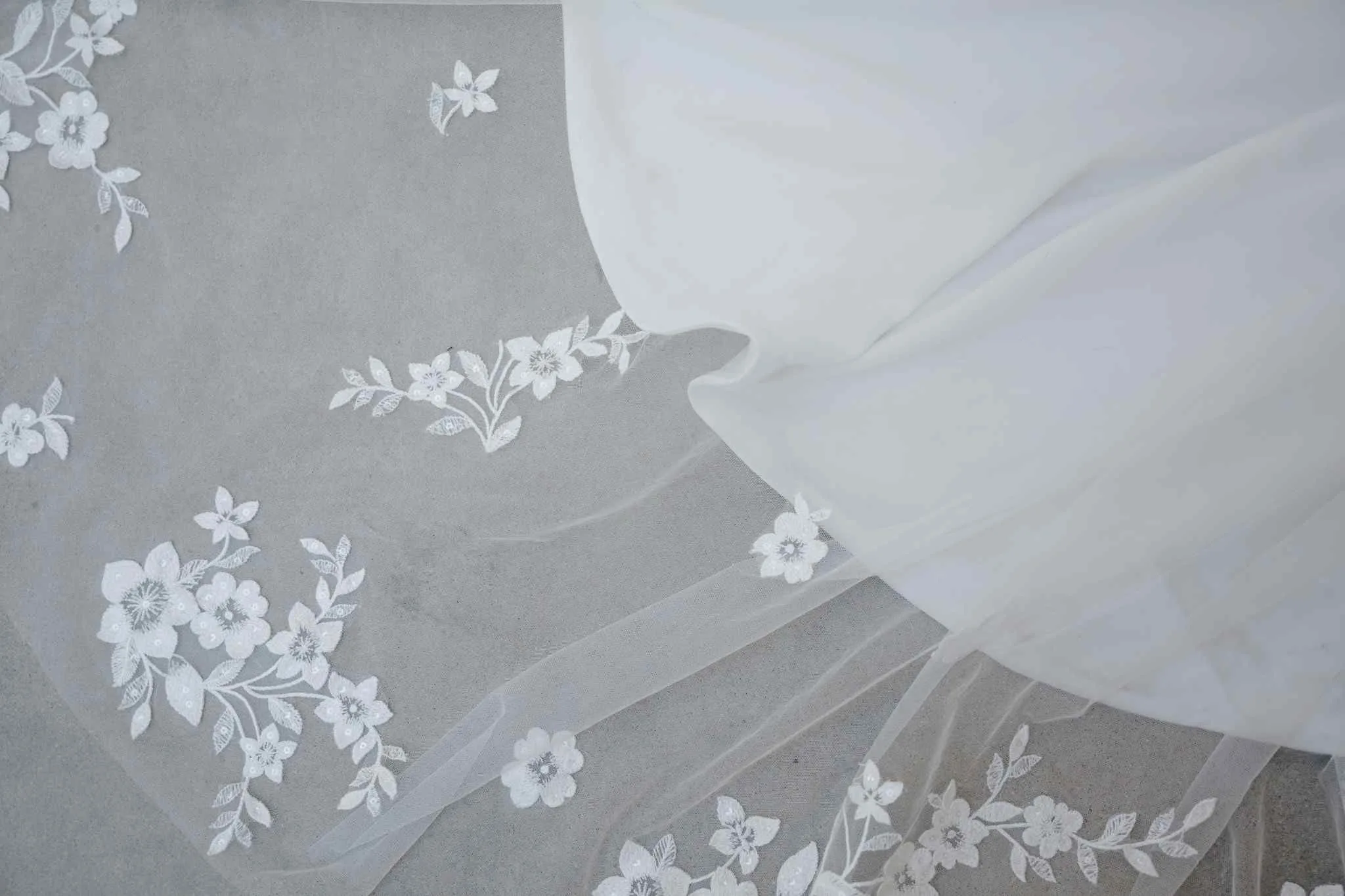 Ivy – Image 2
